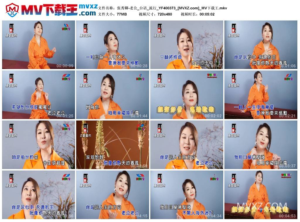 张秀卿-老公_台语_流行_YF400373